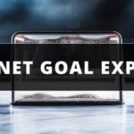 How Often Does Empty Net Work in Hockey