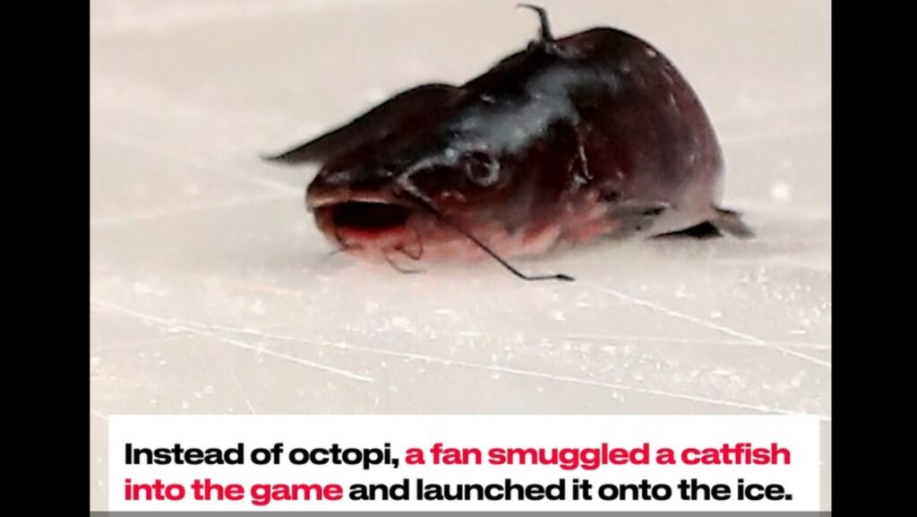 What Does the Catfish Mean in Hockey