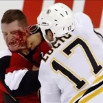 Why Do Hockey Players Fight So Much